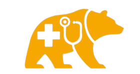 Bruin Health Consulting logo